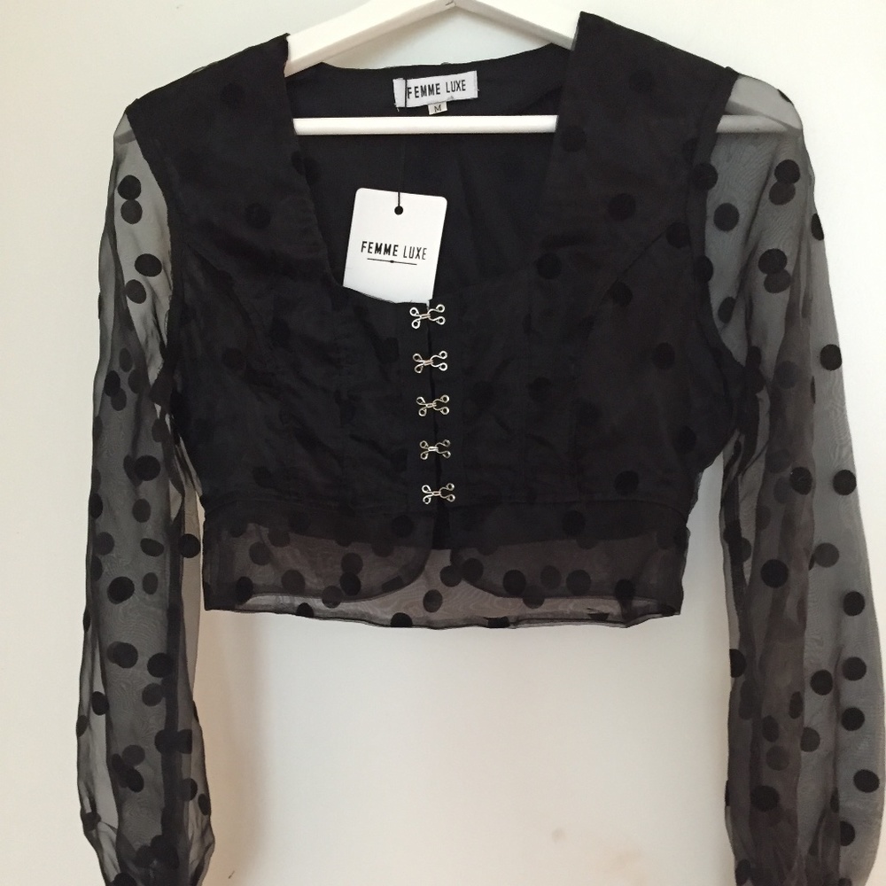 Black Polka Dot Mesh